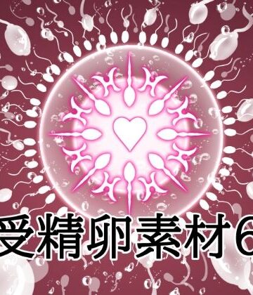 【ビバマガ】受精卵素材6｜水の木
